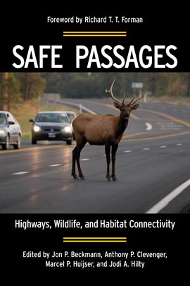 Cover image for Safe Passages