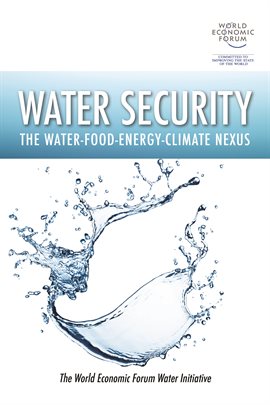 Cover image for Water Security