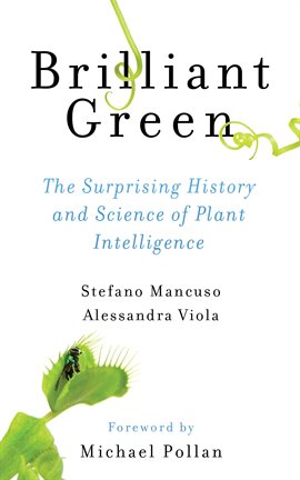 Brilliant Green Book Cover