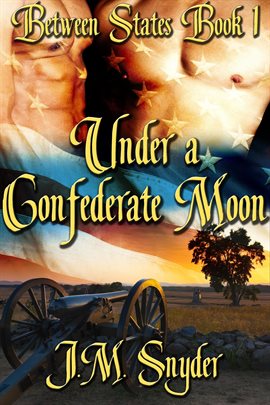 Cover image for Under a Confederate Moon