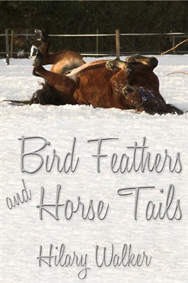 Cover image for Bird Feathers and Horse Tails