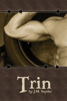 Cover image for Trin