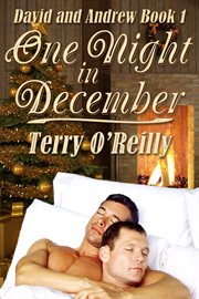 One night in december cover image