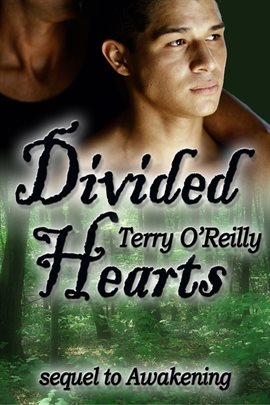 Cover image for Divided Hearts