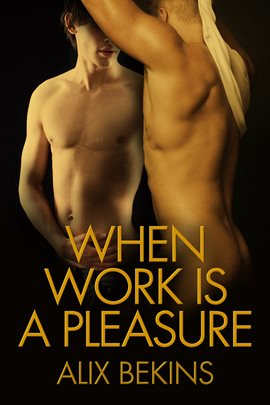 Cover image for When Work Is a Pleasure