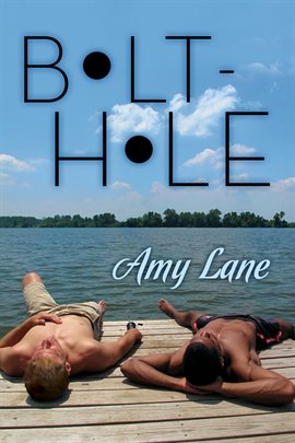 Cover image for Bolt-hole