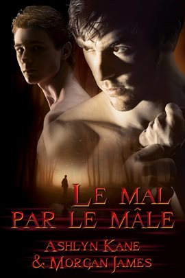 Cover image for Le mal par le mâle