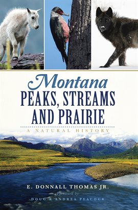 Cover image for Streams and Prairie Montana Peaks