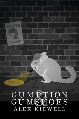 Cover image for Gumption & Gumshoes