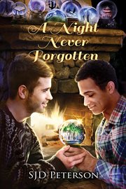 A night never forgotten cover image