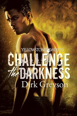 Cover image for Challenge the Darkness