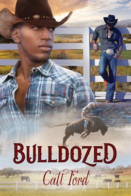 Cover image for Bulldozed