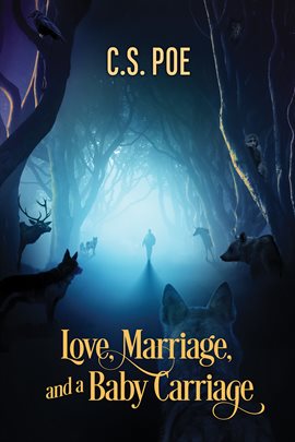 Cover image for Marriage, Love and a Baby Carriage