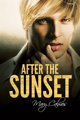 Cover image for After the Sunset