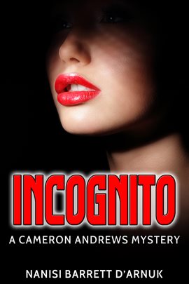 Cover image for Incognito