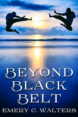Cover image for Beyond Black Belt