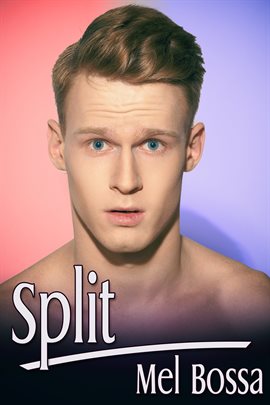 Cover image for Split