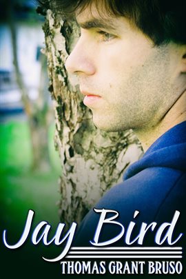 Cover image for Jay Bird