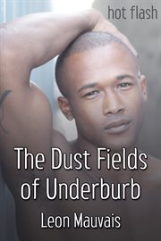 The dust fields of underburb cover image