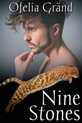Cover image for Nine Stones