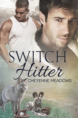 Cover image for Switch Hitter