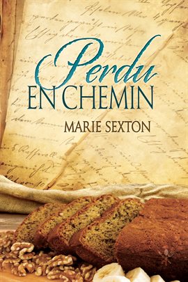 Cover image for Perdu En Chemin