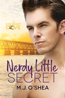 Cover image for Nerdy Little Secret