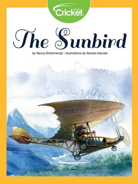 Cover image for The Sunbird