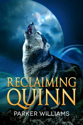 Cover image for Reclaiming Quinn