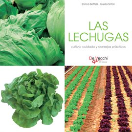 Cover image for Las lechugas - cultivo, cuidado y condejos prácticos