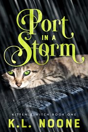 Port in the storm cover image