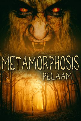 Cover image for Metamorphosis