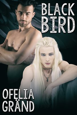 Cover image for Black Bird