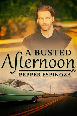 Cover image for A Busted Afternoon