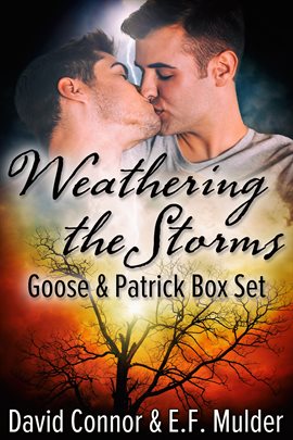Cover image for Weathering the Storms Box Set
