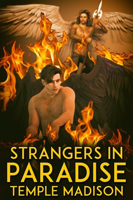 Cover image for Strangers in Paradise