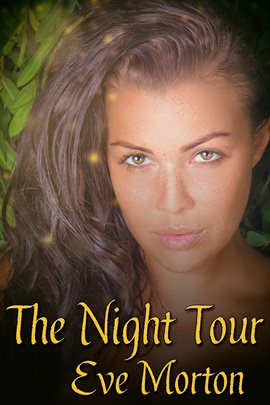 Cover image for The Night Tour