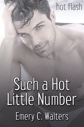 Cover image for Such a Hot Little Number