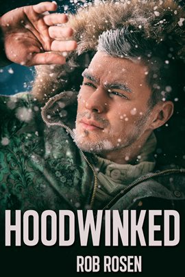 Cover image for Hoodwinked