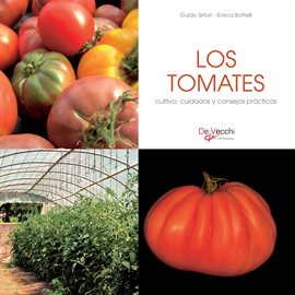 Cover image for Los tomates - cultivo, cuidados y condejos prácticos