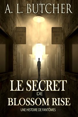 Cover image for Le Secret de Blossom Rise