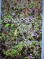 Synapses cover image