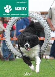Agility cover image