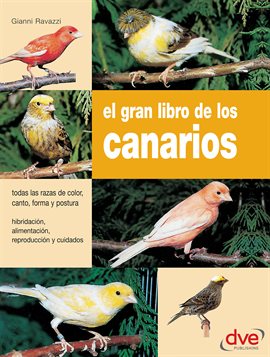 Cover image for El Gran Libro De Los Canarios