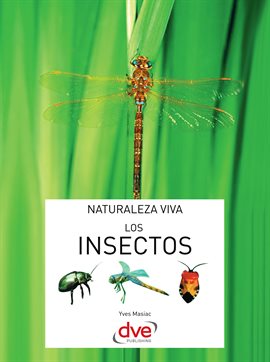 Cover image for Los insectos