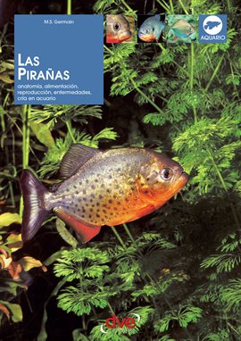 Cover image for Las pirañas