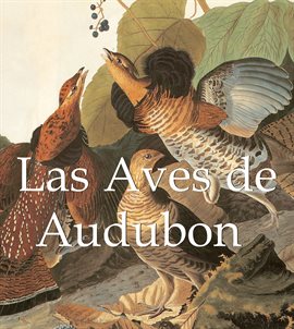 Cover image for Las Aves de Audubon