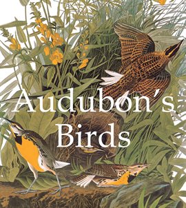 Cover image for Audubon's Birds