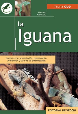 Cover image for La Iguana