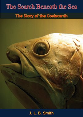 Cover image for The Search Beneath the Sea